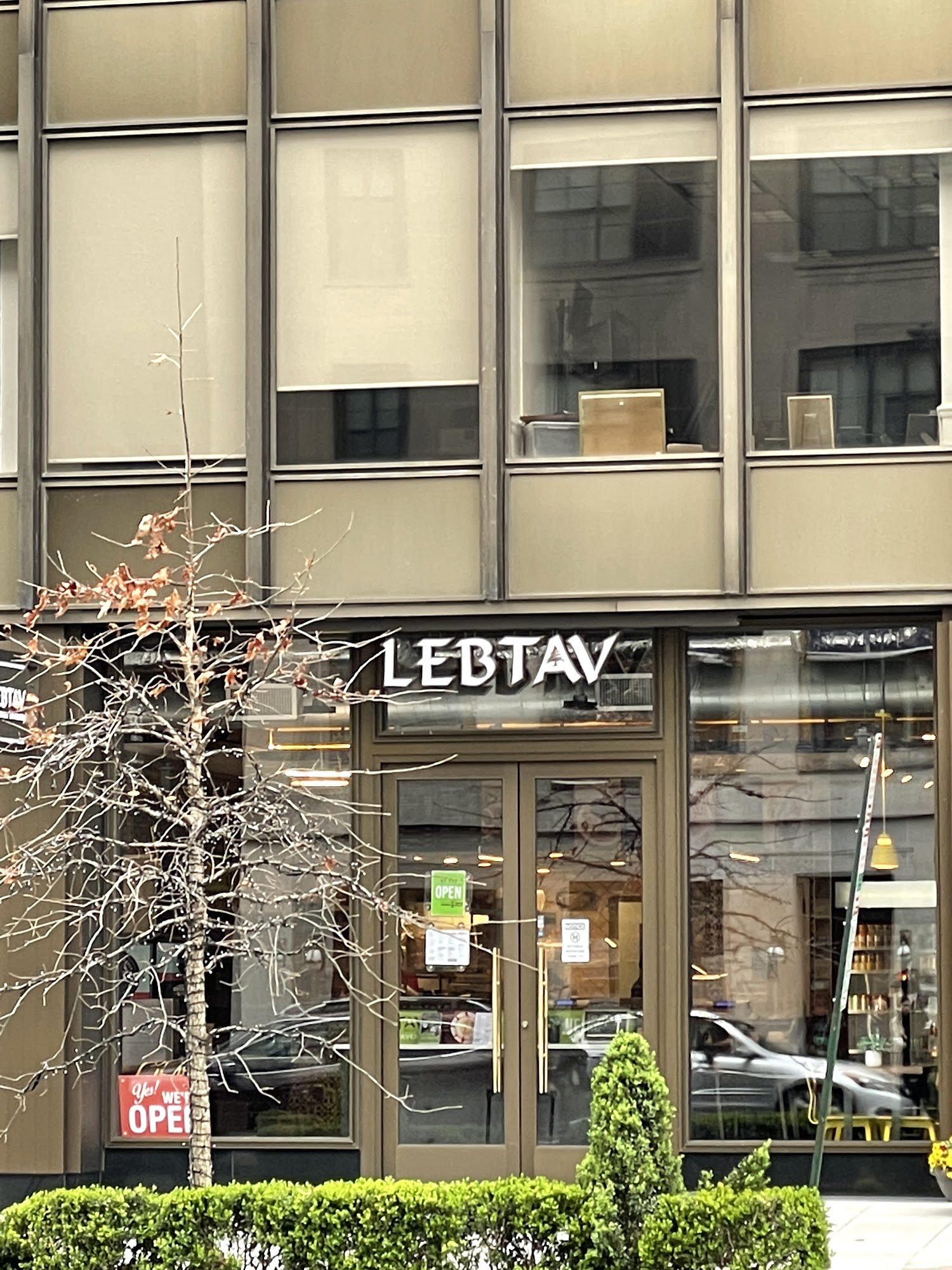 LebTav — Websearch photo