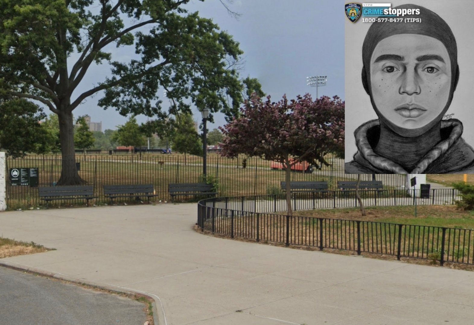 The Grounds Of Brooklyn, photo via a web search
