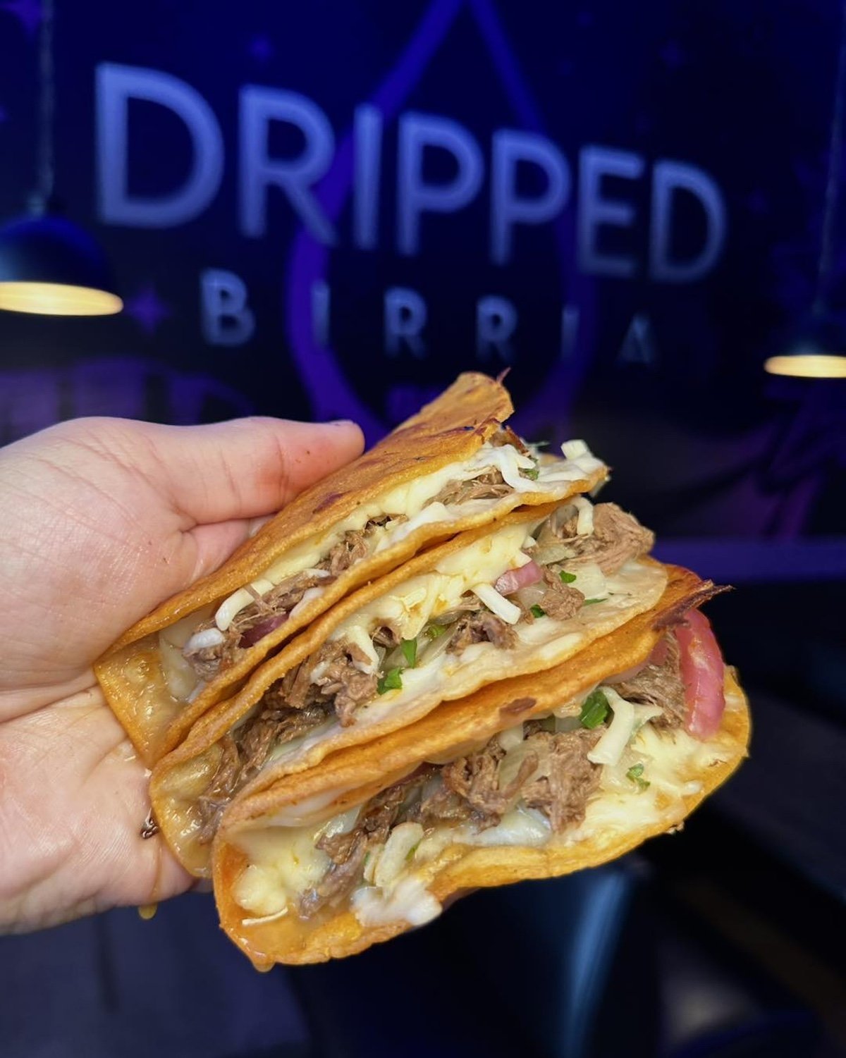 Dripped Birria — Websearch photo