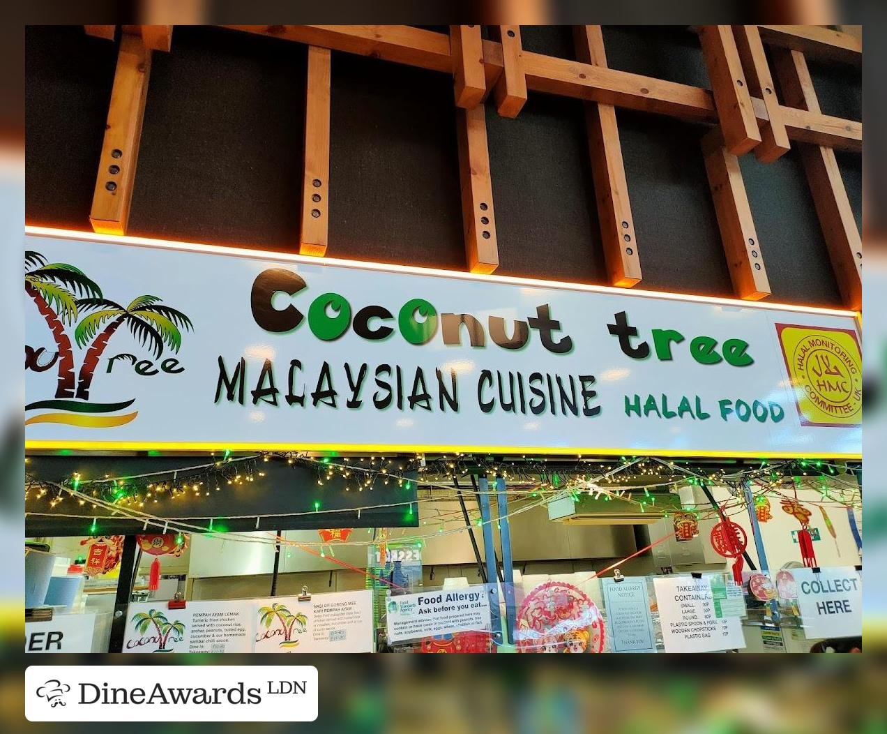 Coconut Tree — Websearch photo