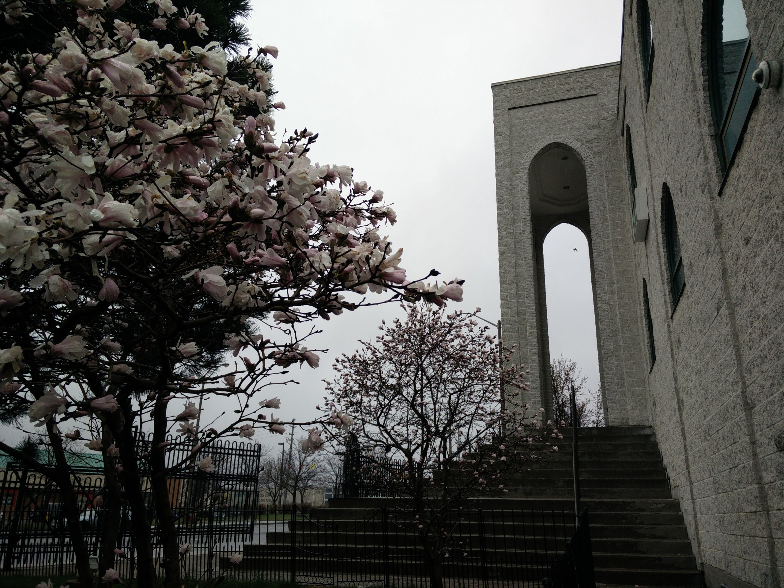 Islamic Foundation of Toronto — Wikimedia photo