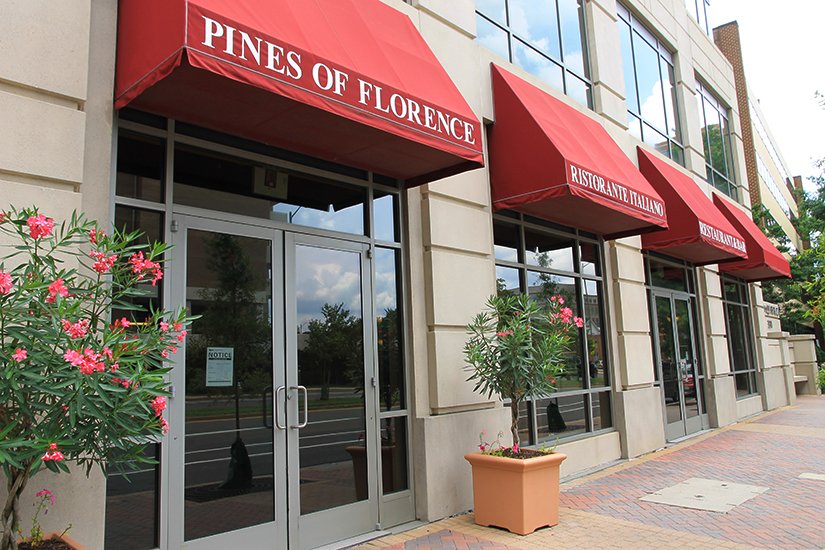 Pines of Florence — Websearch photo