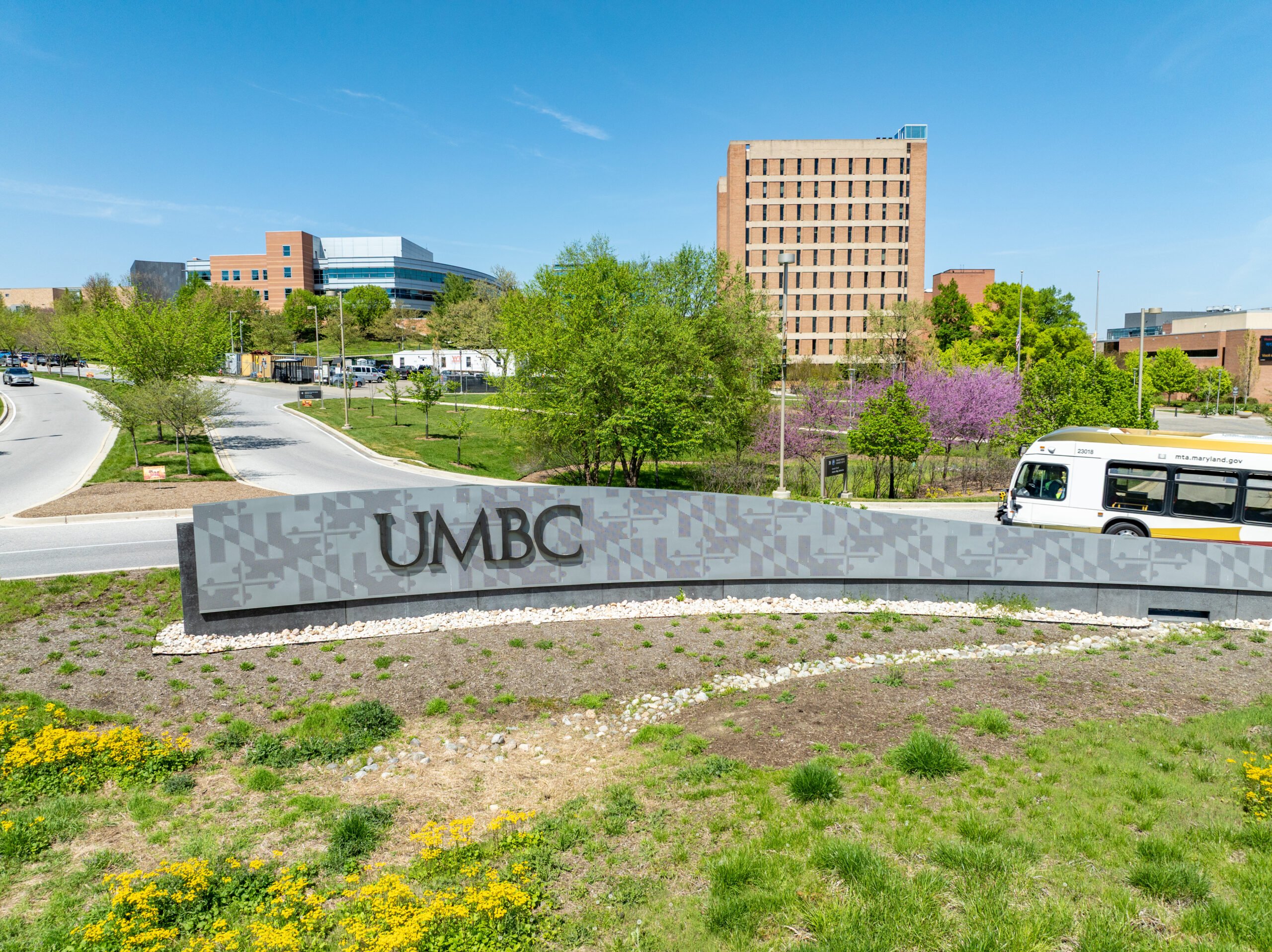 2.Mato @ UMBC — Websearch photo