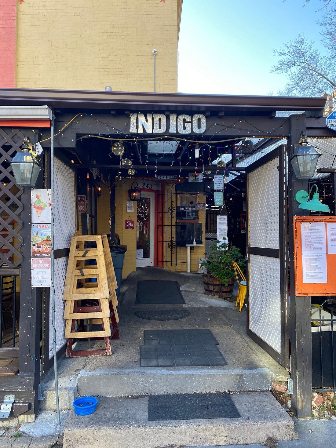 Indigo — Websearch photo