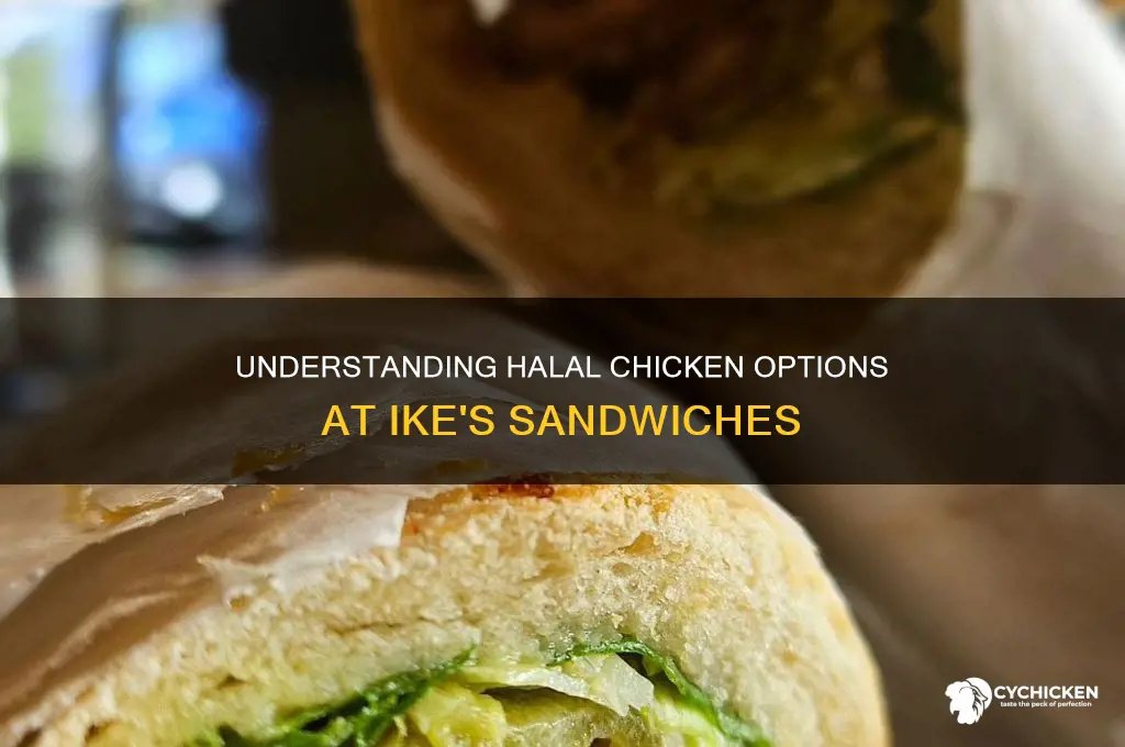 Ike's Halal Sandwiches — Websearch photo